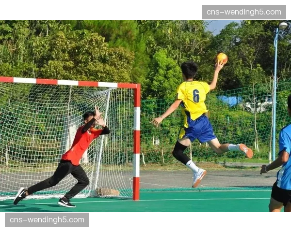 全国青少年校园手球联赛总决赛(U14-U16-U18)8月2日至12日在山东临沂举行